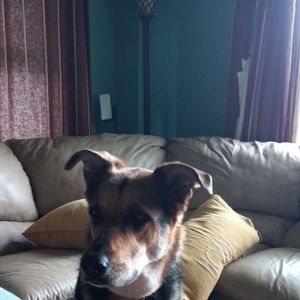 Meet your Posher, Brooklynn